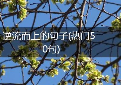 逆流而上的句子(热门50句)