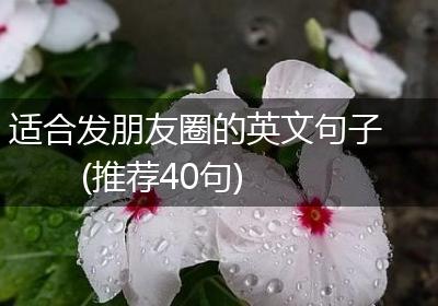 适合发朋友圈的英文句子(推荐40句)