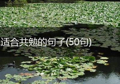 适合共勉的句子(50句)