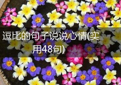 逗比的句子说说心情(实用48句)