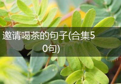 邀请喝茶的句子(合集50句)