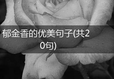 郁金香的优美句子(共20句)