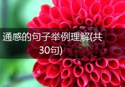 通感的句子举例理解(共30句)
