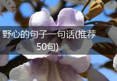 野心的句子一句话(推荐50句)
