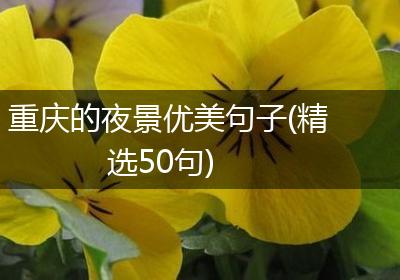 重庆的夜景优美句子(精选50句)