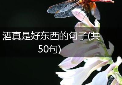 酒真是好东西的句子(共50句)