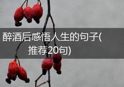 醉酒后感悟人生的句子(推荐20句)