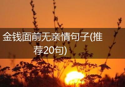 金钱面前无亲情句子(推荐20句)