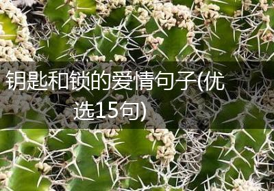 钥匙和锁的爱情句子(优选15句)