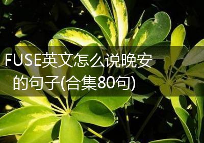 FUSE英文怎么说晚安的句子(合集80句)
