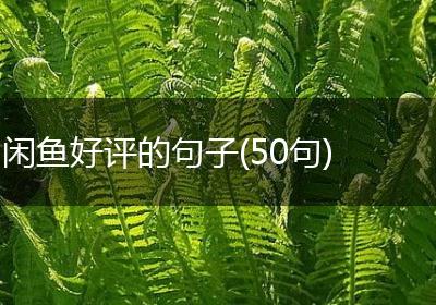 闲鱼好评的句子(50句)