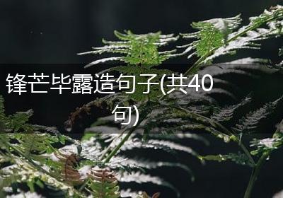 锋芒毕露造句子(共40句)