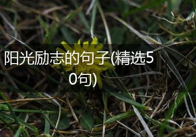 阳光励志的句子(精选50句)