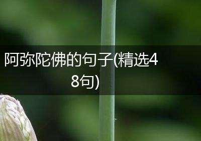 阿弥陀佛的句子(精选48句)