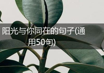 阳光与你同在的句子(通用50句)