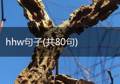 hhw句子(共80句)