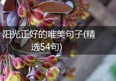 阳光正好的唯美句子(精选54句)
