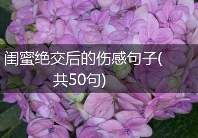 闺蜜绝交后的伤感句子(共50句)