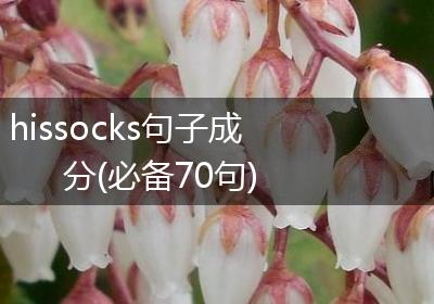 hissocks句子成分(必备70句)