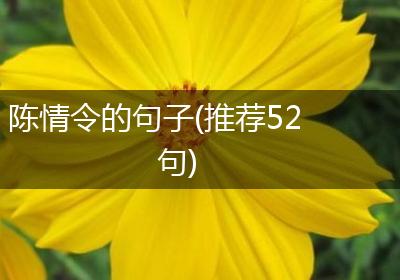 陈情令的句子(推荐52句)