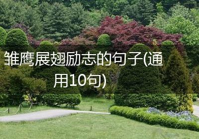 雏鹰展翅励志的句子(通用10句)