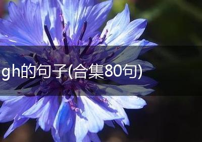 gh的句子(合集80句)