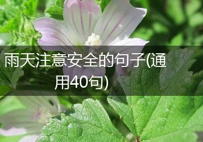 雨天注意安全的句子(通用40句)