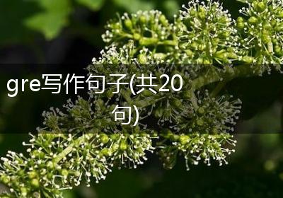 gre写作句子(共20句)