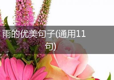 雨的优美句子(通用11句)