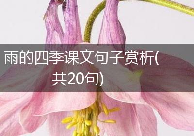 雨的四季课文句子赏析(共20句)