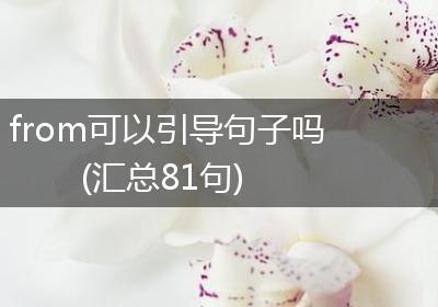 from可以引导句子吗(汇总81句)