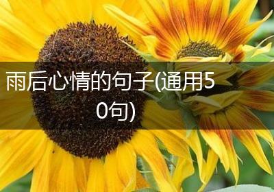雨后心情的句子(通用50句)