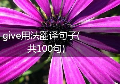 give用法翻译句子(共100句)
