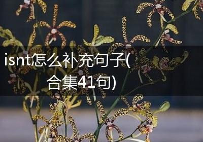 isnt怎么补充句子(合集41句)