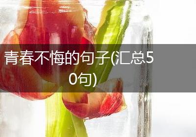 青春不悔的句子(汇总50句)