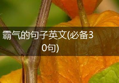 霸气的句子英文(必备30句)