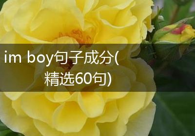 im boy句子成分(精选60句)