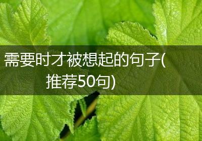 需要时才被想起的句子(推荐50句)