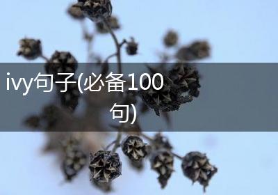 ivy句子(必备100句)