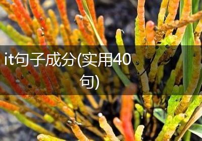 it句子成分(实用40句)