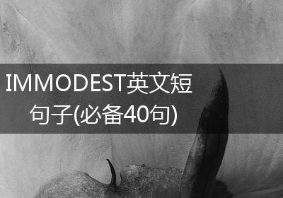 IMMODEST英文短句子(必备40句)