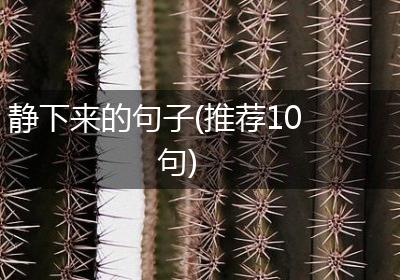 静下来的句子(推荐10句)