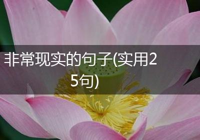 非常现实的句子(实用25句)
