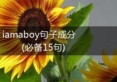 iamaboy句子成分(必备15句)