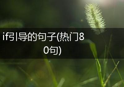 if引导的句子(热门80句)