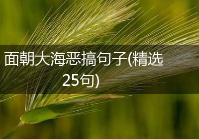 面朝大海恶搞句子(精选25句)