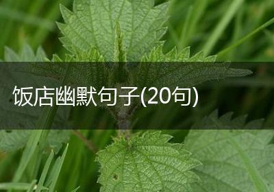 饭店幽默句子(20句)