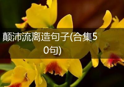 颠沛流离造句子(合集50句)