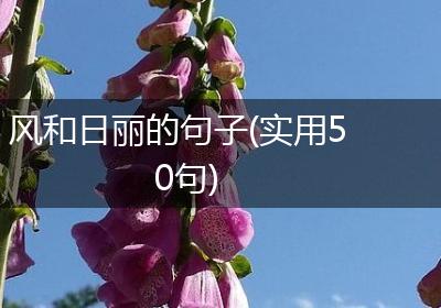 风和日丽的句子(实用50句)