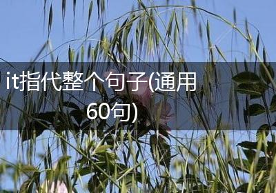 it指代整个句子(通用60句)